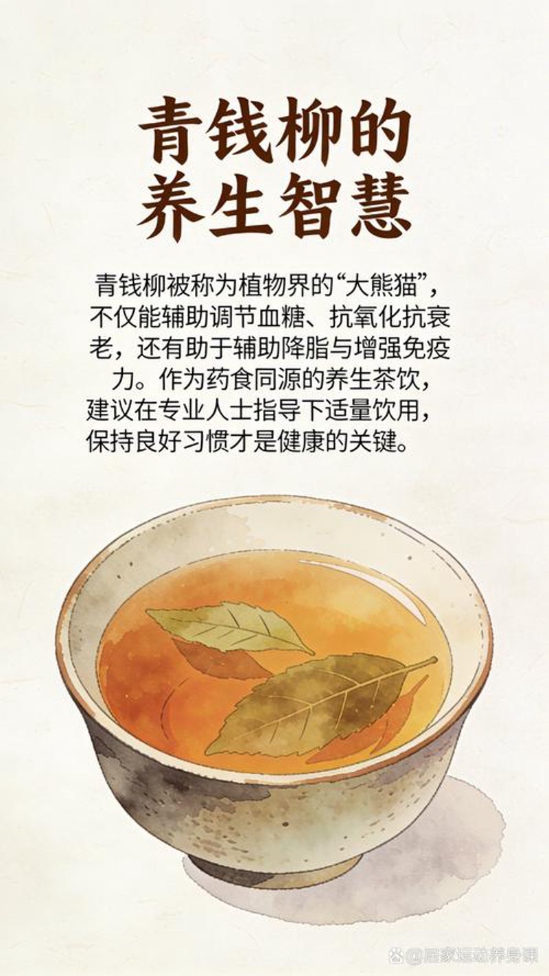 代顺青钱柳茶