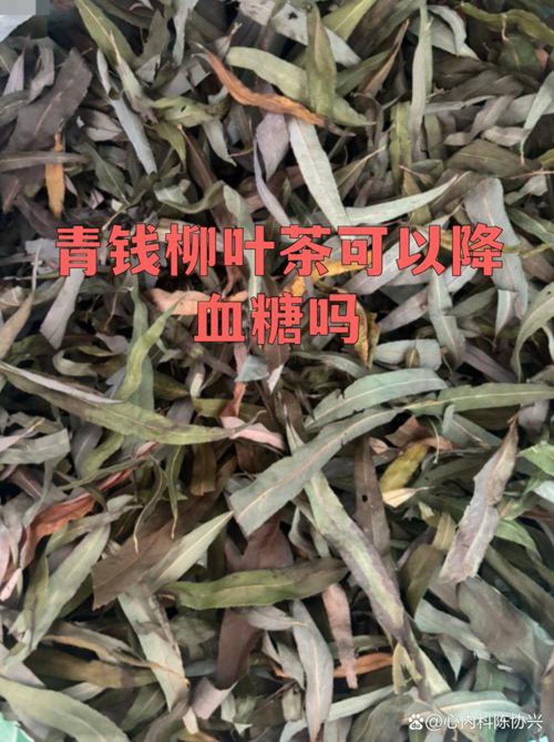青钱柳叶茶